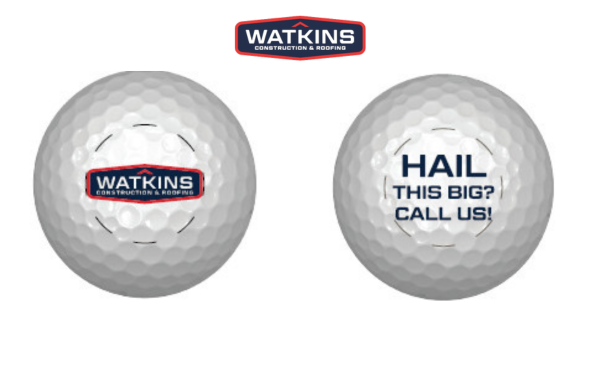 Golf Pro V1